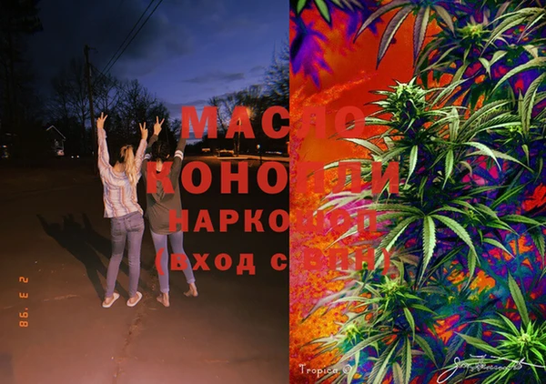 шишки Кодинск
