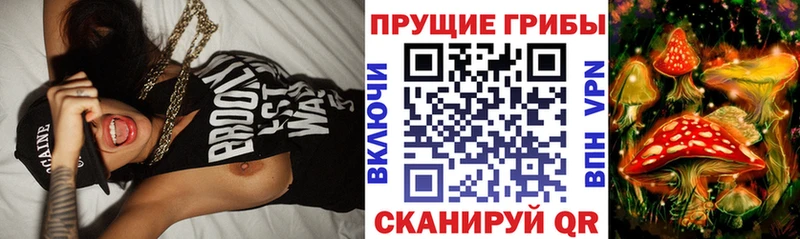 Псилоцибиновые грибы мицелий  Кимовск 